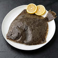 Frozen Whole Turbot Fish